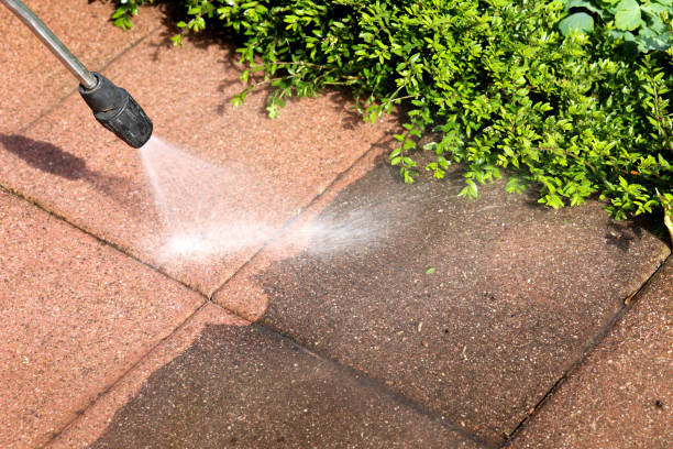 Best Pressure Washing Near Me  in Rio Verde, AZ
